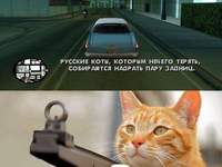 Фрагмент из Русские коты, которым нечего терять