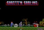 Фрагмент из Ghosts'n Goblins (US)