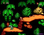 Обложка из Donkey Kong Country 4 / Страна Донки Конга 4