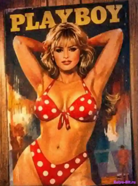 PlayBoy #5 (постер с обложки аудиокниги ретро бит)